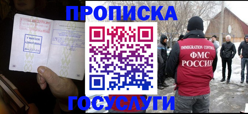 прописка поиск в Курчалом
